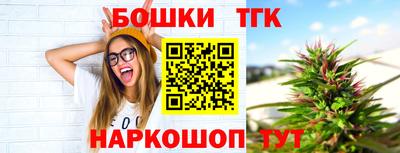МДПВ Бийск