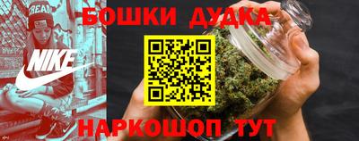 МДПВ Бийск