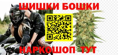 МДПВ Бийск