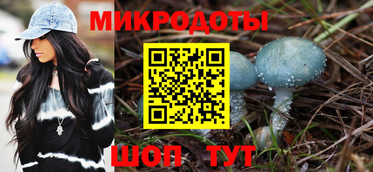 Галлюциногенные грибы Magic Shrooms Карпинск