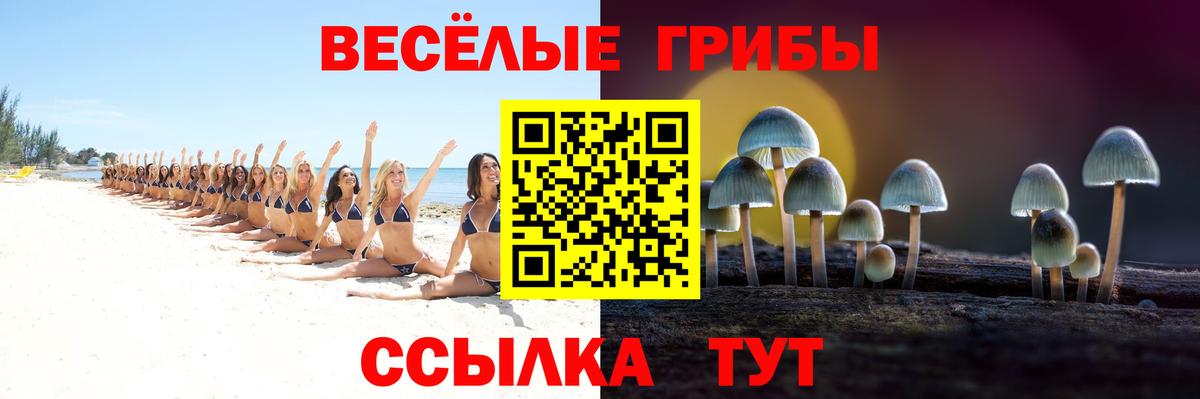 где купить наркоту  Псилоцибиновые грибы мухоморы  Вход с VPN  Карпинск  Псилоцибиновые грибы ЛСД 